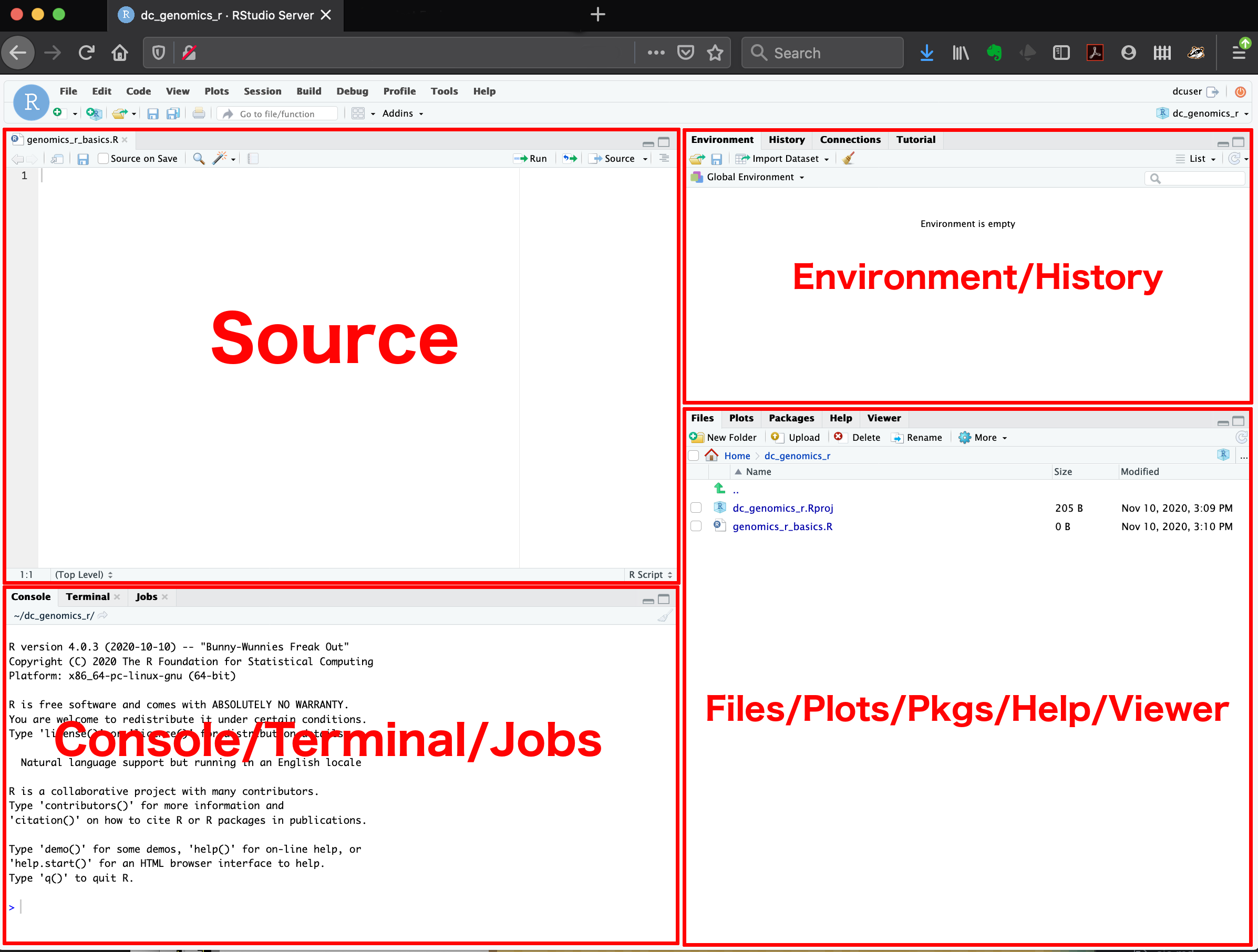 Intro to R and RStudio for Genomics: All in One View