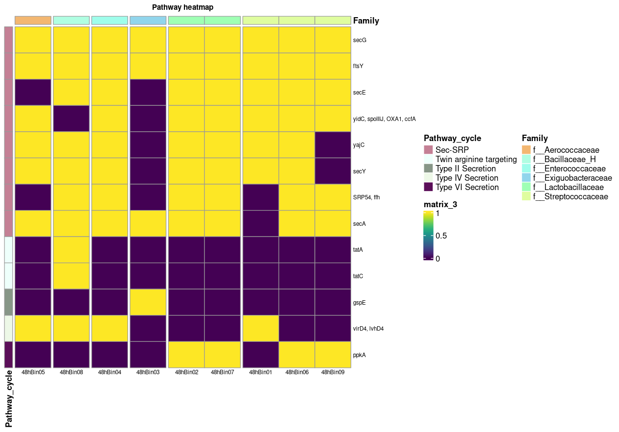 Clasificación taxonómica y Metabolismo – Data Processing and ...